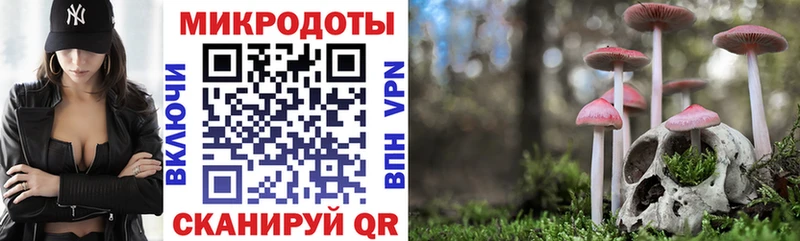 цены наркотик  Апатиты  Псилоцибиновые грибы прущие грибы 